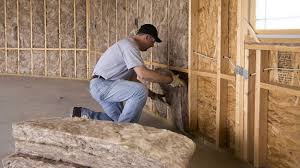 Best Wall Insulation Installation  in USA